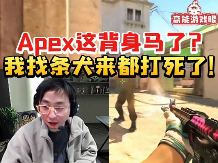 水晶哥看Major淘汰赛集锦出现Apex马枪画面：我找条犬来都打死了